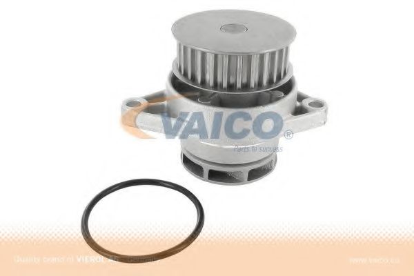 VAICO V10-50056