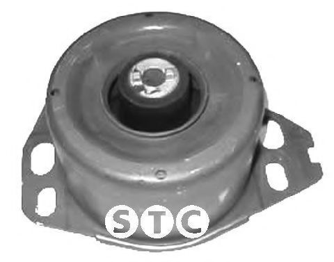 STC T405536