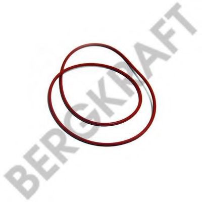 BERGKRAFT BK6120387