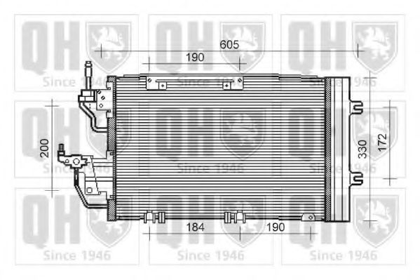 QUINTON HAZELL QCN495