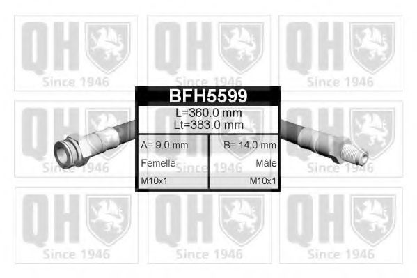 QUINTON HAZELL BFH5599