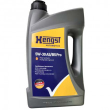 Моторное масло HENGST 5W30 PRO A5/B5 / 1115800000 (1л)
