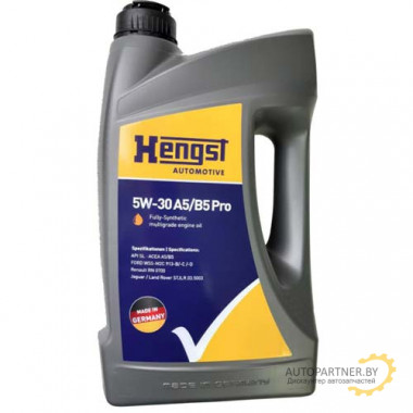 Моторное масло HENGST 5W30 PRO A5/B5 / 1115800000 (1л)
