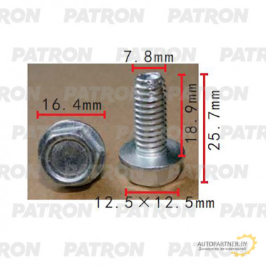 Болт металлический PATRON  / P37-2252