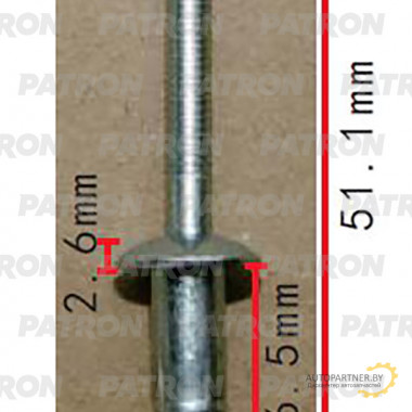 Заклепка металлическая PATRON  / P37-2267