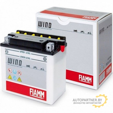 FIAMM 7904465 Аккумуляторная батарея евро 6Ah 25A 98/56/110 6N6-3B moto