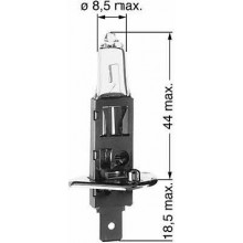Лампа галогенная H1 12V 55W BERU / 112553