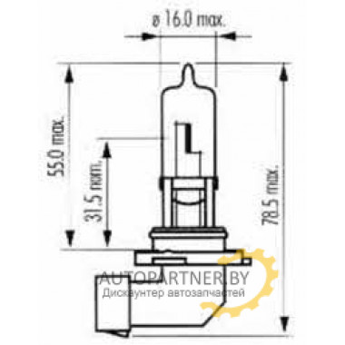 Лампа галогенная HB3 12V 60W SCT / 202570
