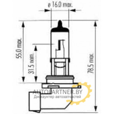 Лампа галогенная HB4 12V 51W SCT / 202594
