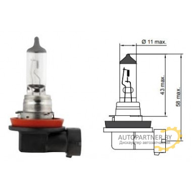 Лампа галогенная +50% More Light H11 12V 55W TESLA / B31101