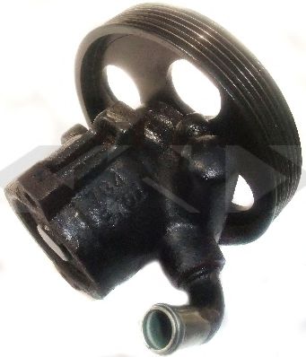 SPIDAN 53934