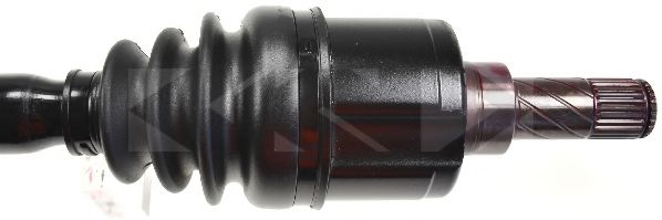 SPIDAN 24648