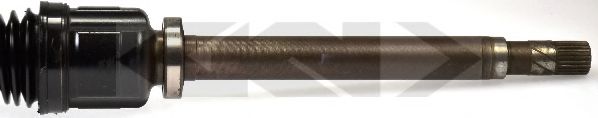 SPIDAN 24649