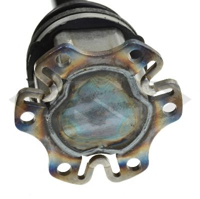SPIDAN 24816