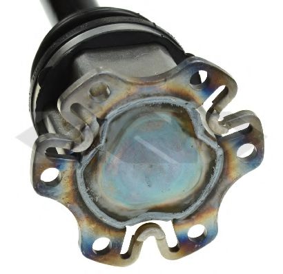 SPIDAN 24825