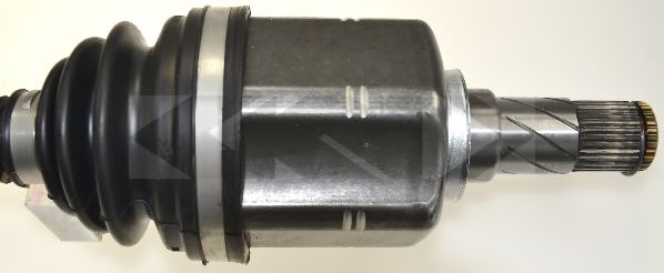 SPIDAN 24918