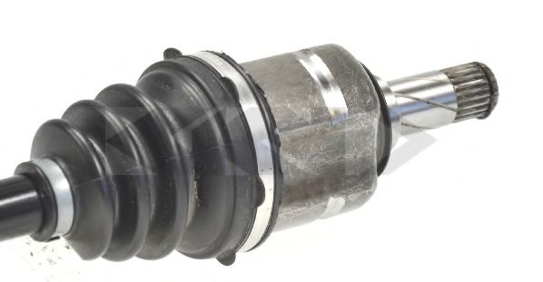 SPIDAN 24972