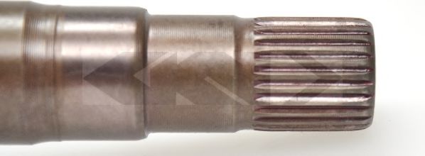 SPIDAN 25283
