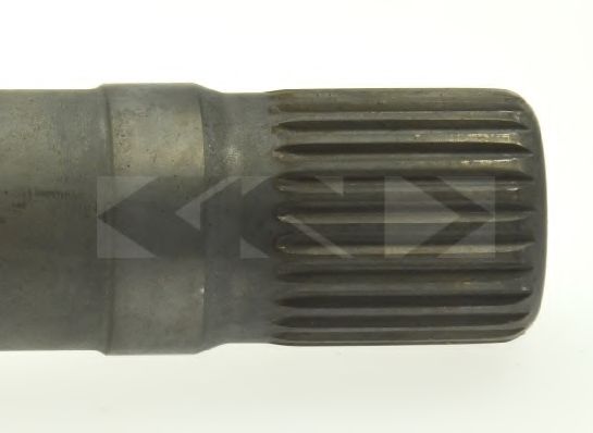 SPIDAN 25529