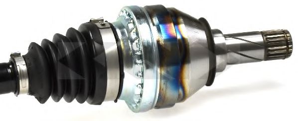 SPIDAN 25596
