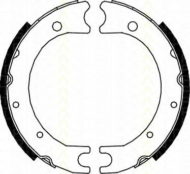 TRISCAN 8100 13036