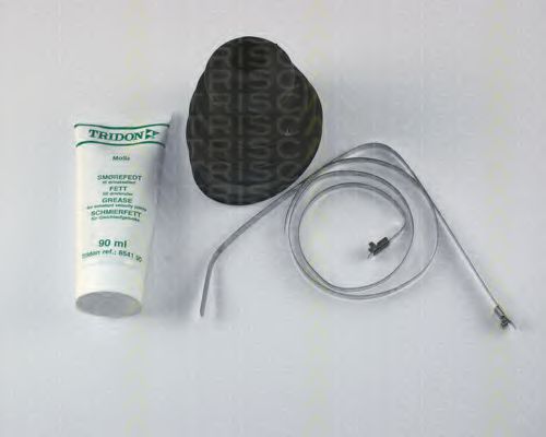 TRISCAN 8540 10810