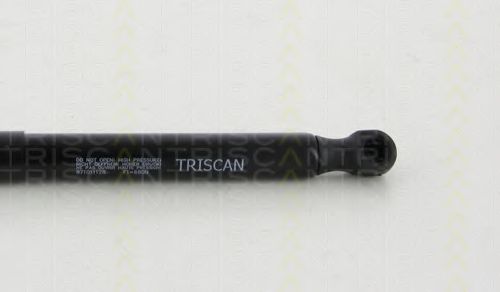 TRISCAN 8710 11128