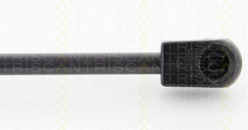 TRISCAN 8710 11238