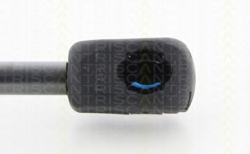 Газовая пружина, капот TRISCAN 8710 25110 Газовая пружина, капот TRISCAN 8710 25110