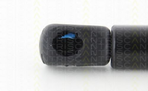 TRISCAN 8710 25110