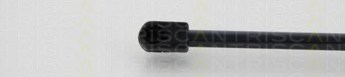 TRISCAN 8710 80204