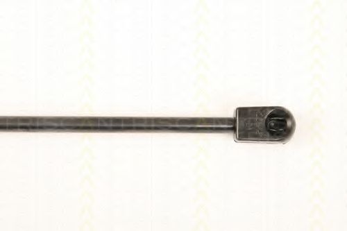TRISCAN 8710 9001