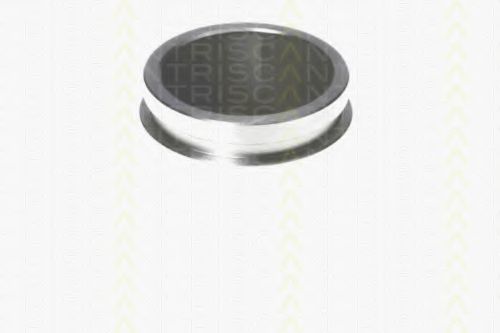 TRISCAN 8170 234530 TRISCAN 8170 234530