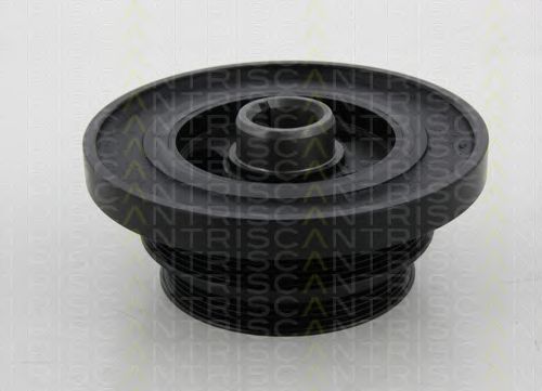 TRISCAN 8643 11006