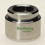 BUDWEG CALIPER 234004 BUDWEG CALIPER 234004