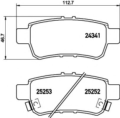 PAGID T2099