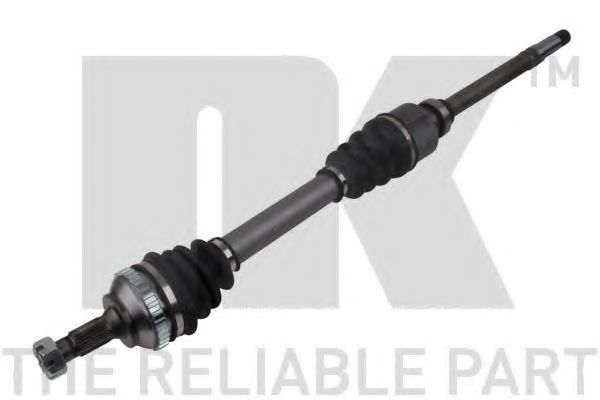 NK 501976