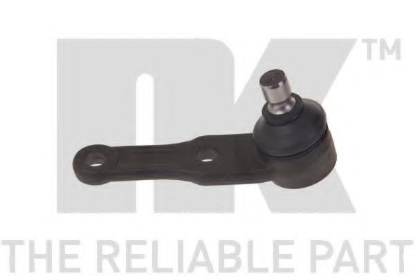 NK 5043503