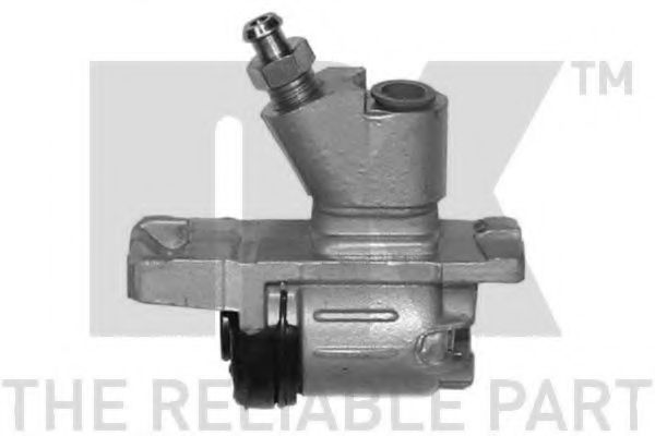 NK 809919