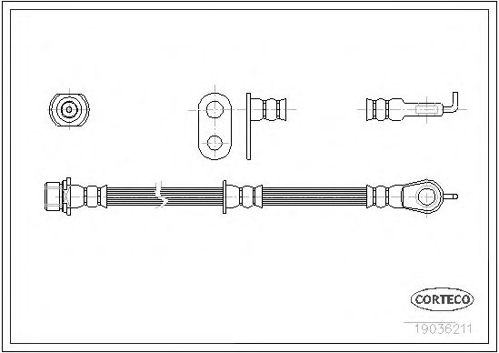 CORTECO 19036211