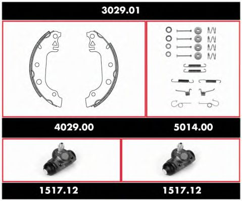 REMSA 3029.01