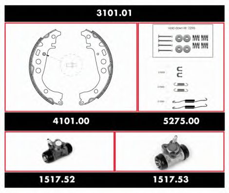 REMSA 3101.01