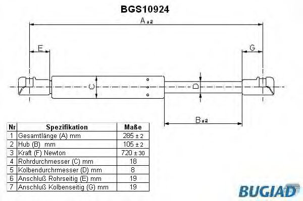 BUGIAD BGS10924