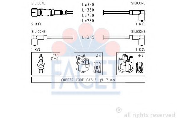 FACET 4.9569