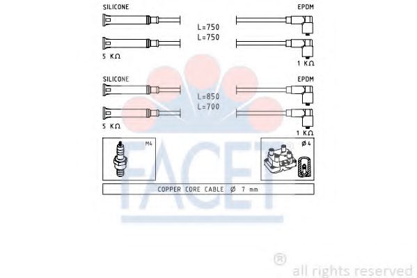 FACET 4.9694