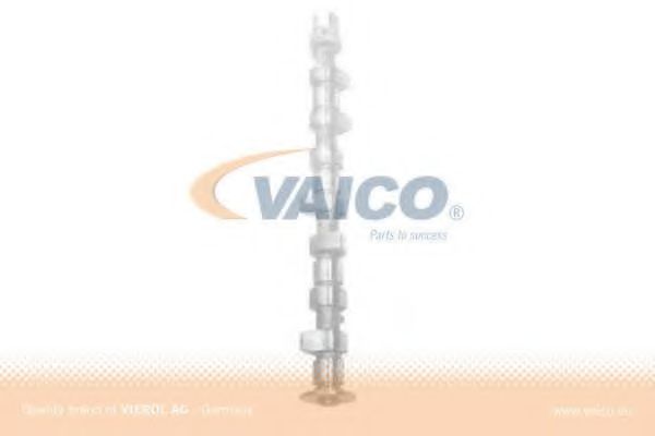 VAICO V30-0273