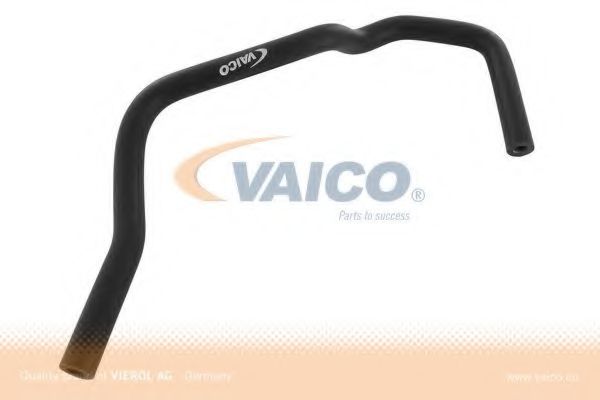 VAICO V40-1781