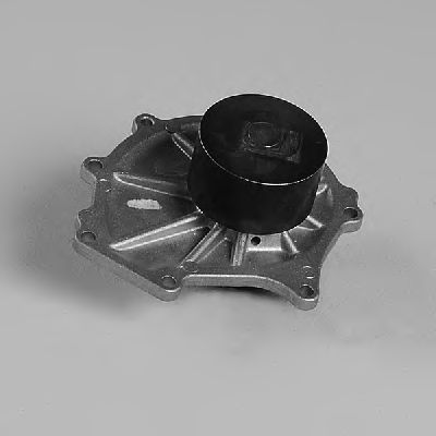 GK 987981
