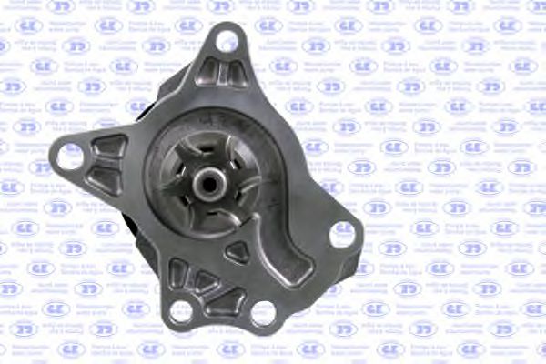 GK 987648