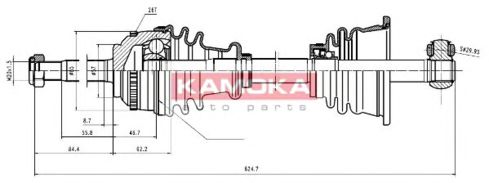 KAMOKA RN1138913A